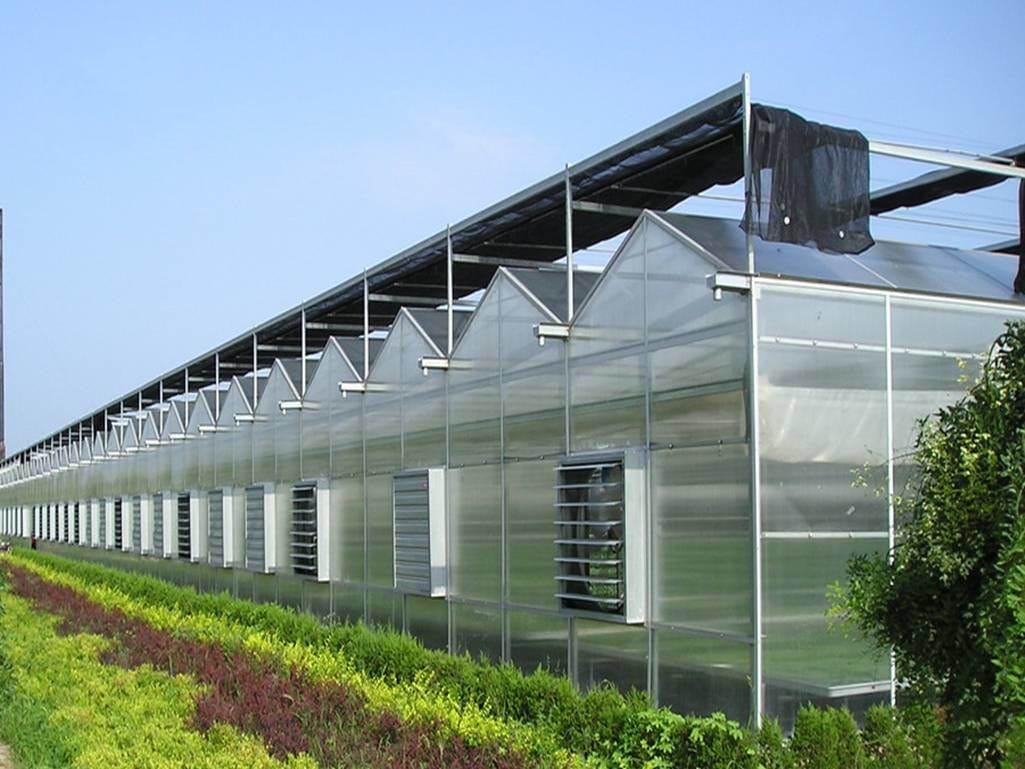Tấm lợp nhà là gì